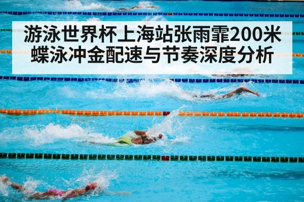 游泳世界杯上海站张雨霏200米蝶泳冲金配速与节奏深度分析